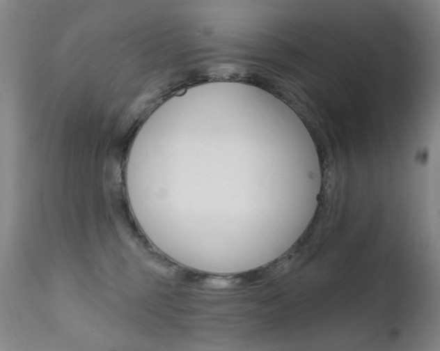 X0000111580375200907161202