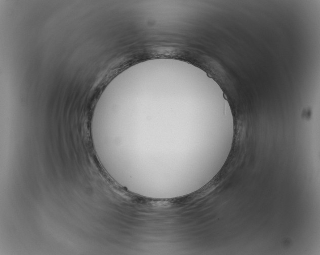 X0000111580377200907161202