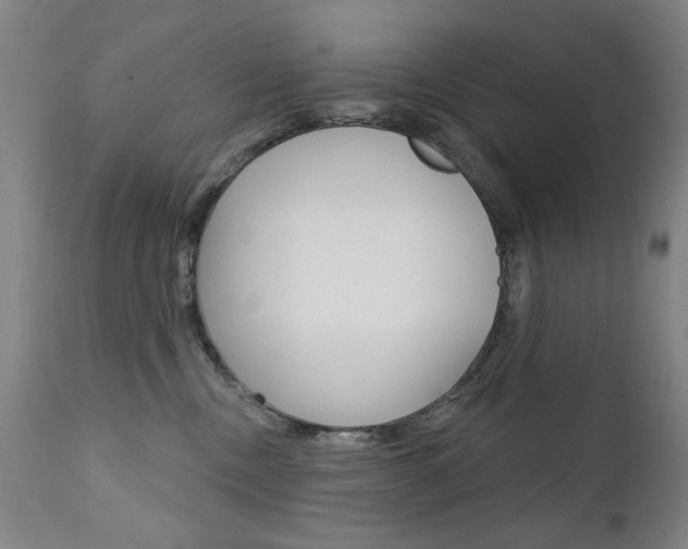 X0000111580378200907161202