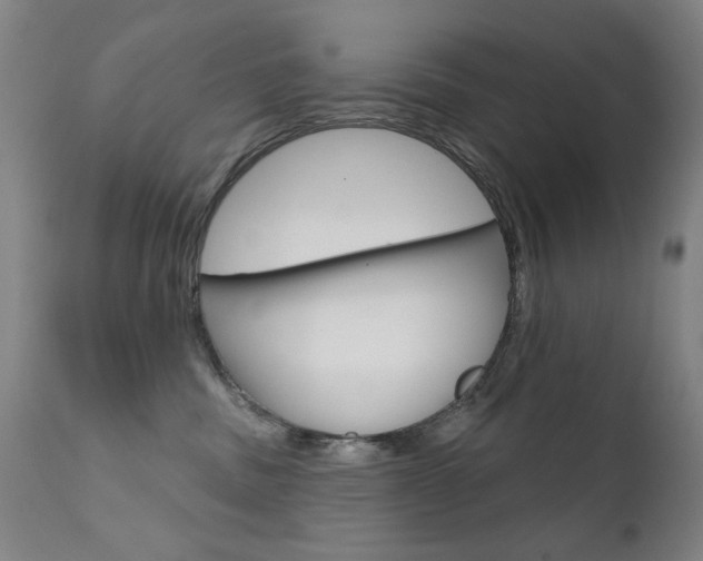 X0000111580379200907161202