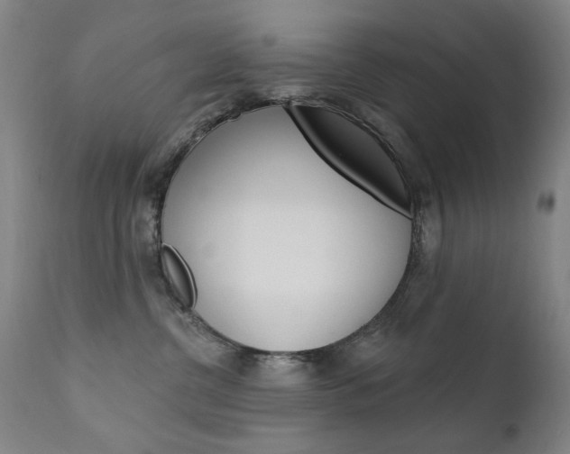 X0000111580380200907161202