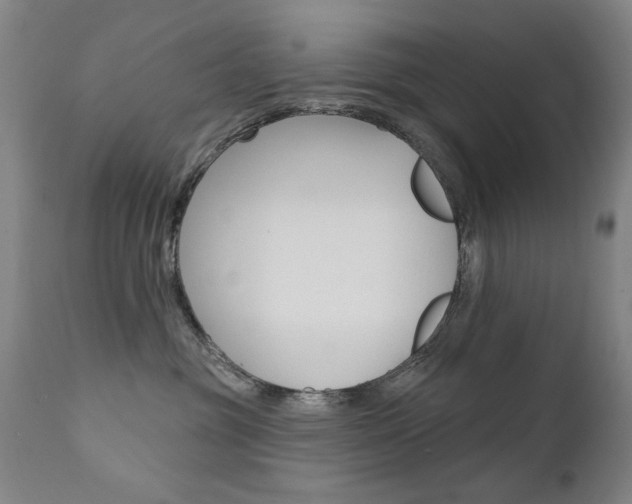 X0000111580381200907161202