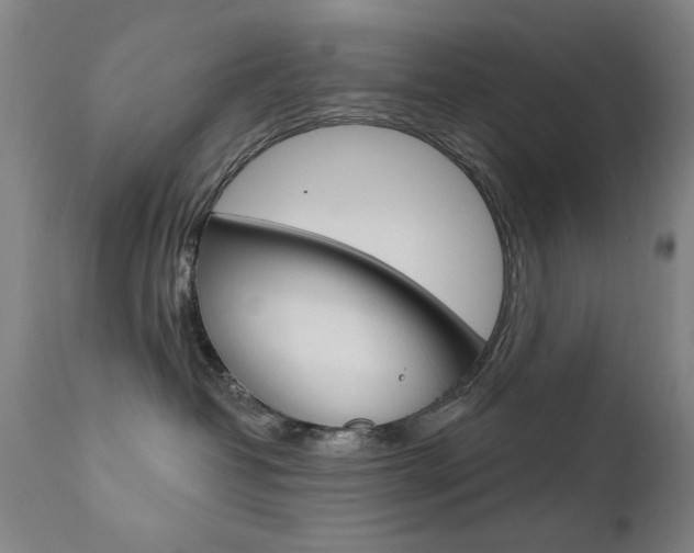 X0000111580382200907161202