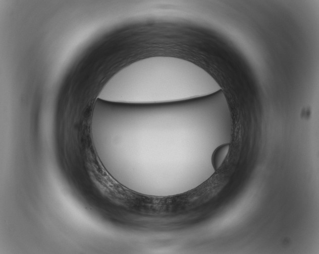 X0000111580383200907161202