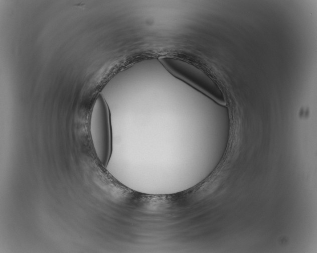 X0000111580384200907161202