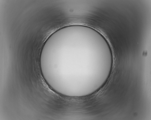 X0000111580385200907161201