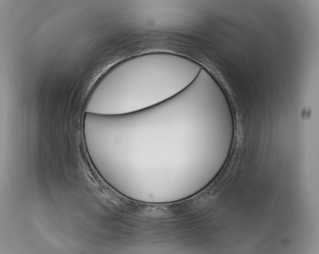 X0000111580386200907161201