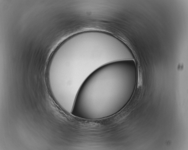 X0000111580387200907161201