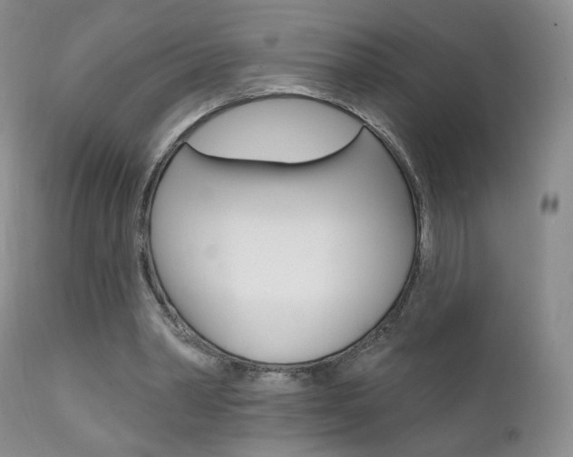 X0000111580390200907161201