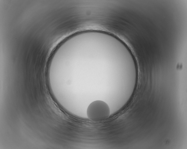 X0000111580391200907161201