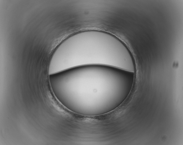 X0000111580393200907161201