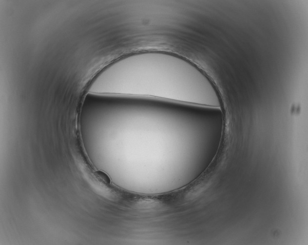 X0000111580397200907161201