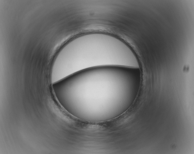 X0000111580399200907161201
