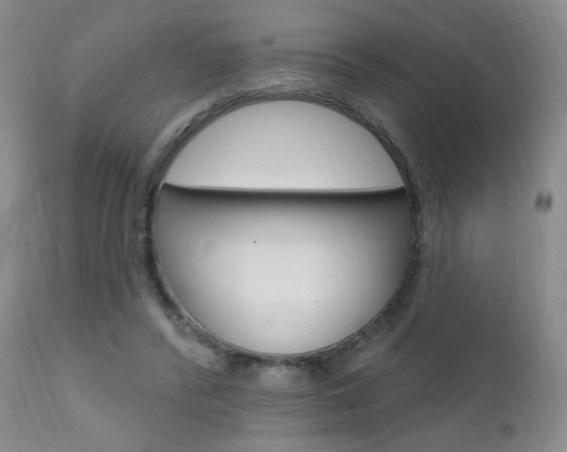 X0000111580400200907161201