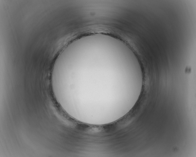 X0000111580402200907161201