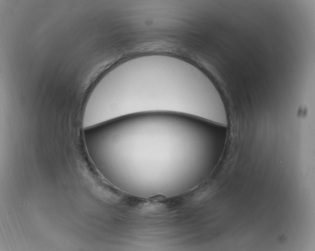 X0000111580403200907161201