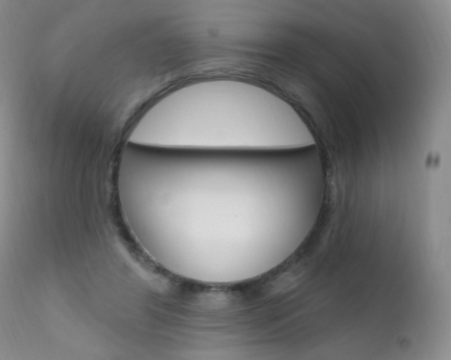 X0000111580404200907161201