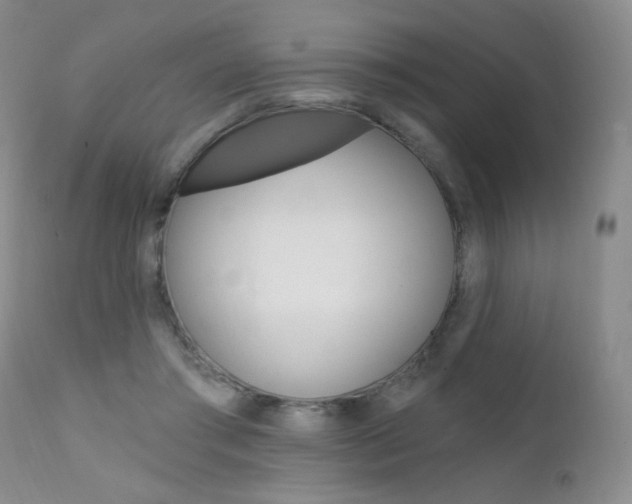 X0000111580405200907161201