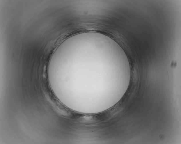 X0000111580406200907161201