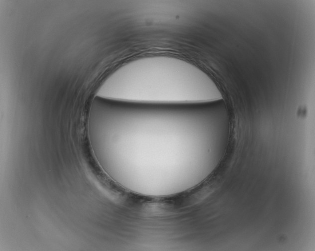 X0000111580408200907161201