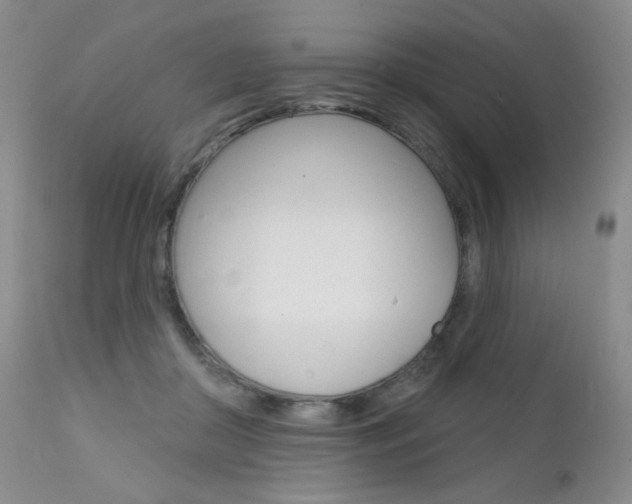 X0000111580410200907161201