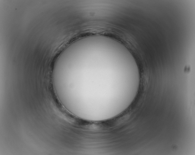 X0000111580412200907161200
