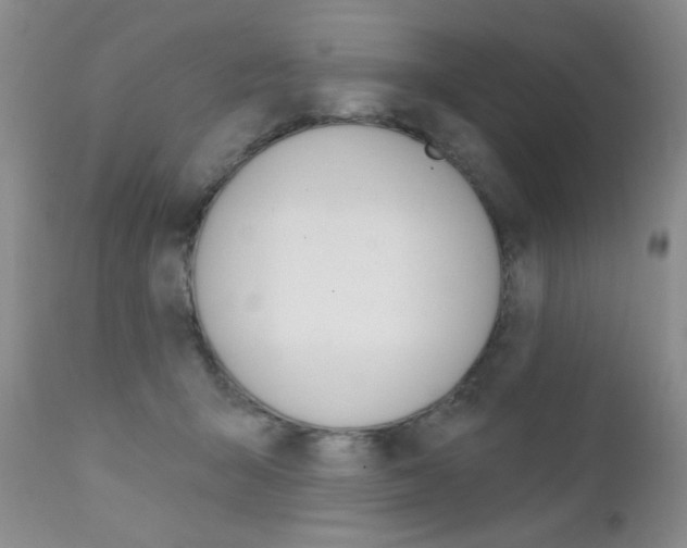 X0000111580415200907161200