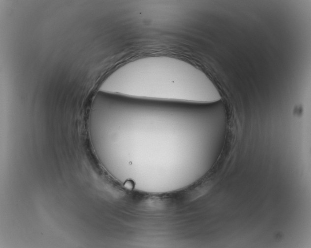 X0000111580416200907161200