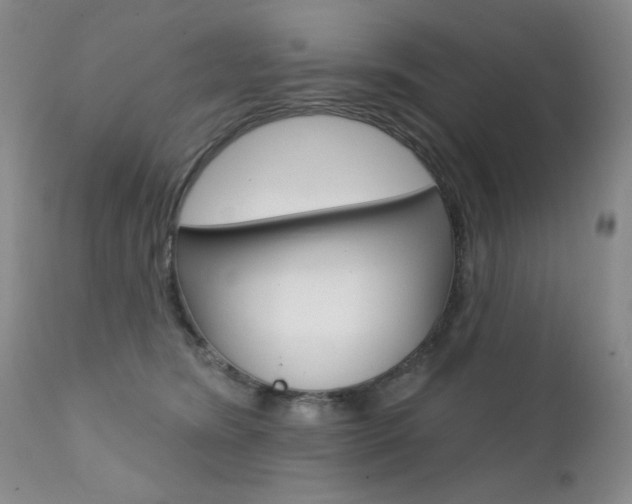 X0000111580420200907161200