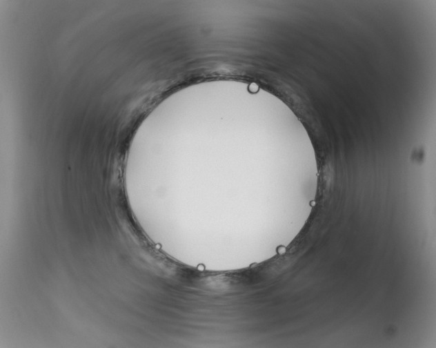 X0000111580423200907161200