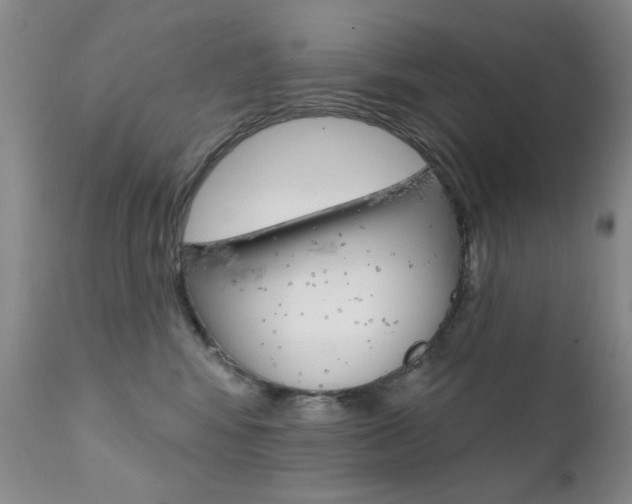 X0000111580424200907161200