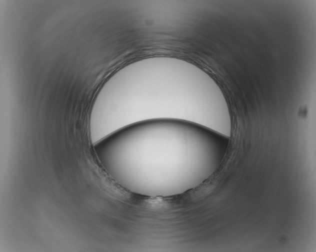 X0000111580425200907161200