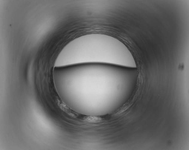 X0000111580429200907161200