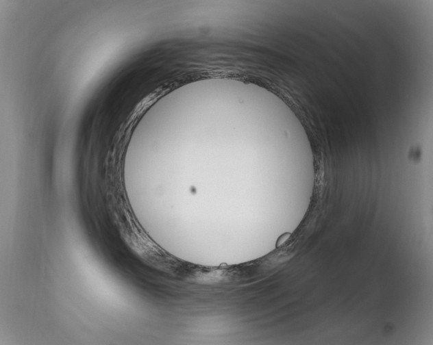 X0000111580430200907161200