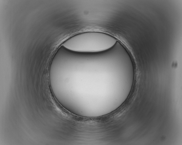 X0000111580433200907161159
