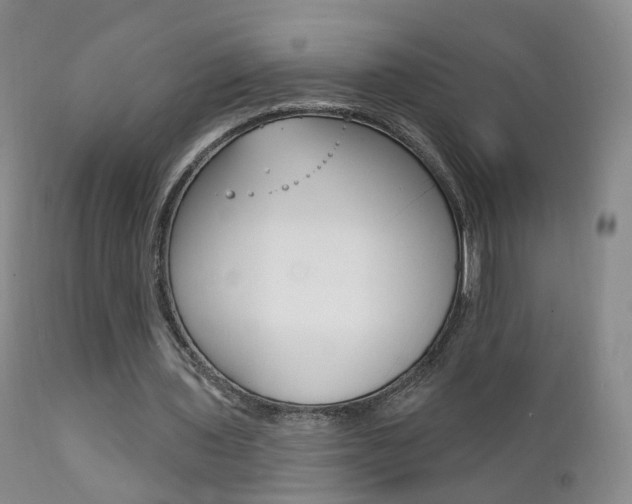 X0000111580435200907161159