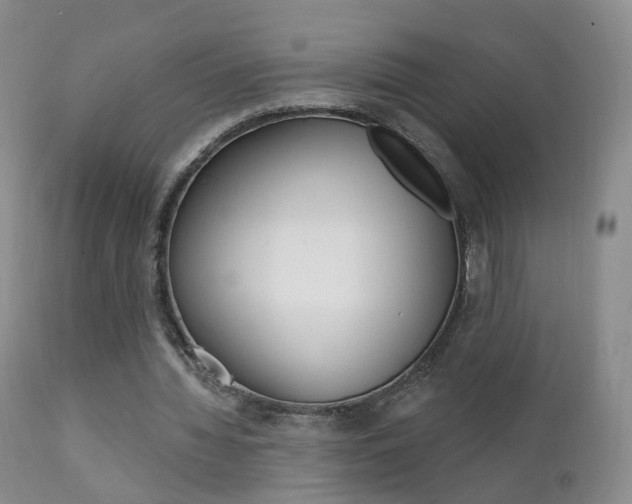 X0000111580436200907161159