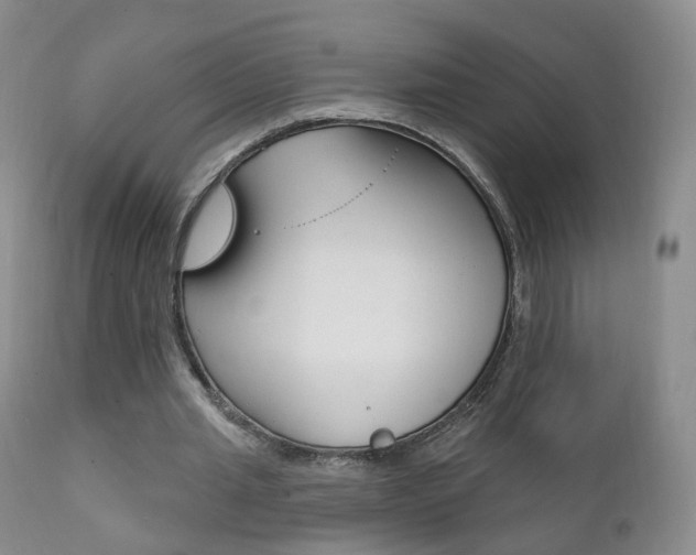 X0000111580437200907161159