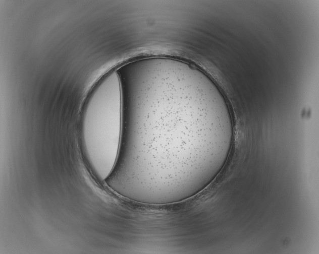 X0000111580438200907161200