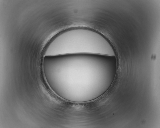 X0000111580440200907161200