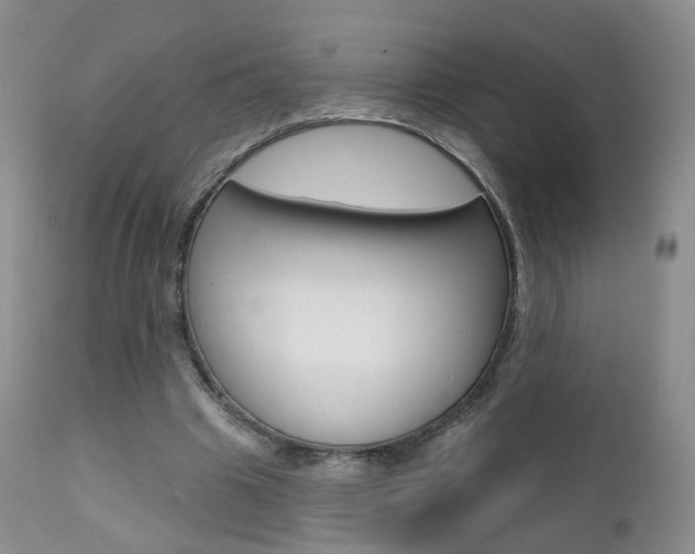 X0000111580441200907161200