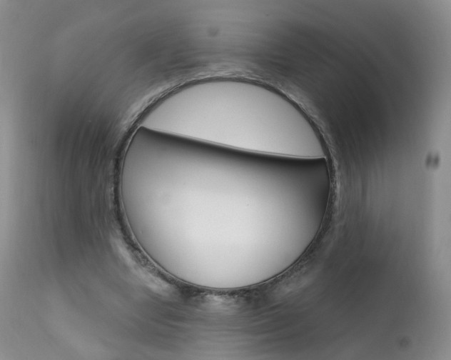 X0000111580442200907161200