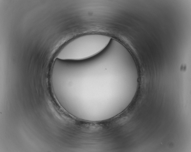 X0000111580443200907161200