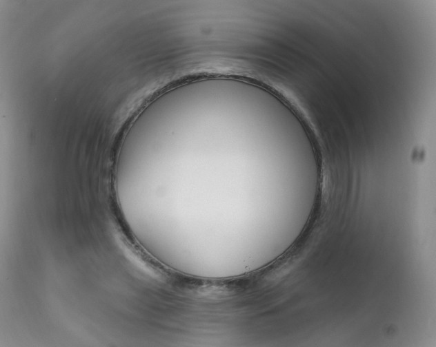 X0000111580445200907161200