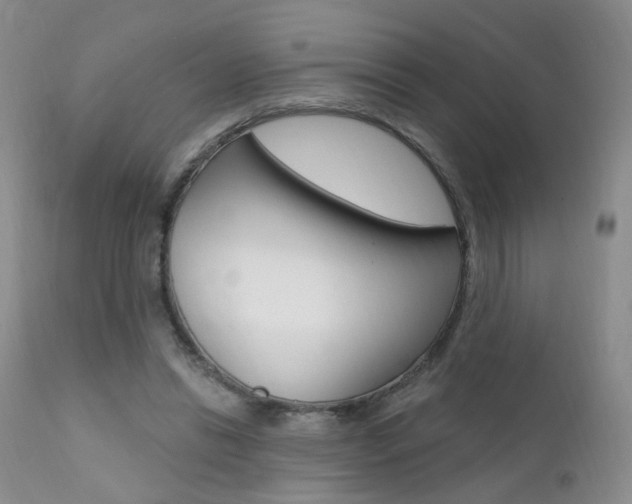X0000111580446200907161200