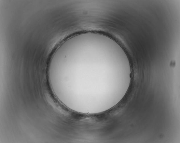 X0000111580447200907161200