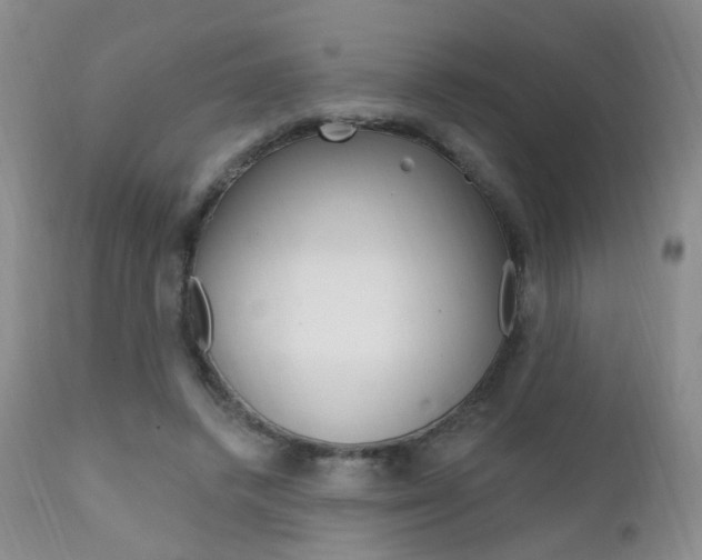 X0000111580448200907161200