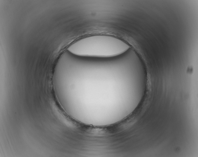 X0000111580449200907161200