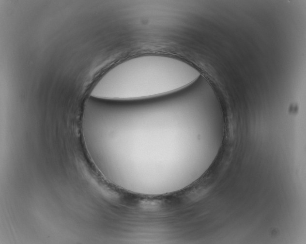 X0000111580450200907161200