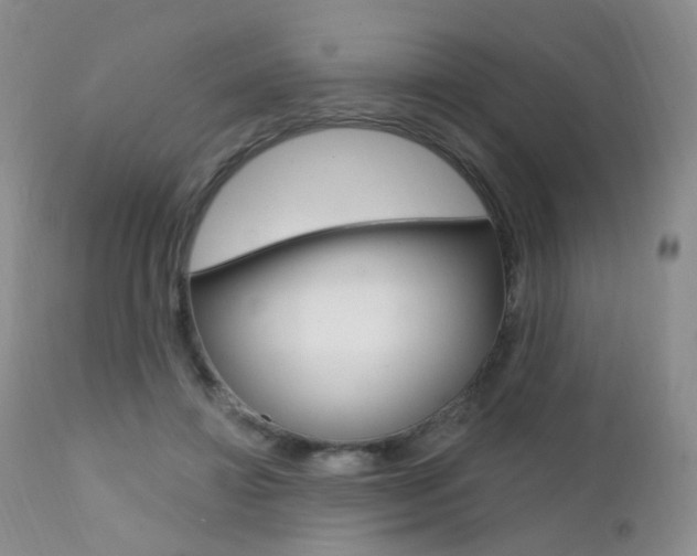 X0000111580452200907161200
